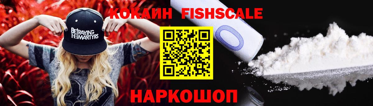 Кокаин FishScale  COCAIN  Заводоуковск  Вход с VPN 
