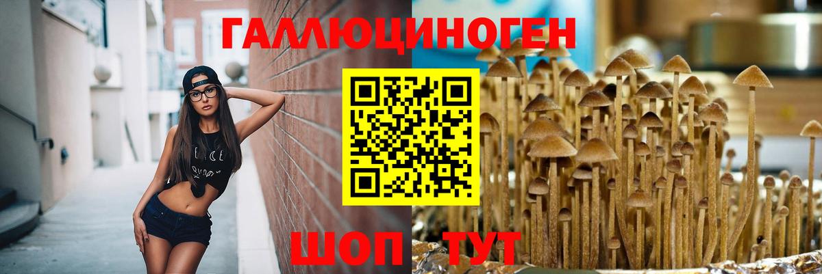 Галлюциногенные грибы GOLDEN TEACHER  Вход с VPN  Заводоуковск  Галлюциногенные грибы Psilocybe 